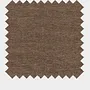 Cocoa Canna